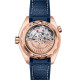 Omega 215.63.44.21.03.001 Seamaster Planet Ocean 600M