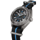 Omega 215.92.46.21.01.001 Seamaster Planet Ocean 6000M