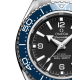 Omega 217.30.42.21.01.002 Seamaster Planet Ocean 600M