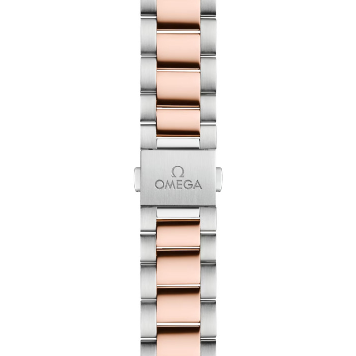Omega 220.20.34.20.03.001 Seamaster Aqua Terra 150M