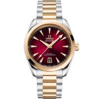 Omega 220.20.38.20.10.002 Seamaster Aqua Terra 150M