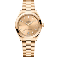 Omega 220.50.30.20.08.001 Seamaster Aqua Terra 150M