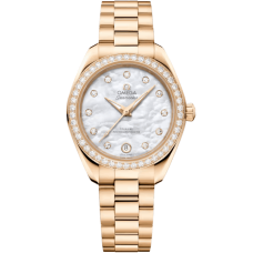 Omega 220.55.30.20.55.001 Seamaster Aqua Terra 150M