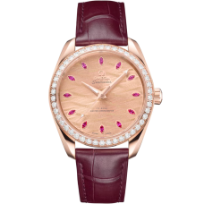 Omega 220.58.38.20.99.007 Seamaster Aqua Terra 150M