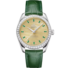 Omega 220.58.38.20.99.008 Seamaster Aqua Terra 150M
