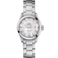 Omega 231.10.30.60.55.001 Seamaster Aqua Terra 150M