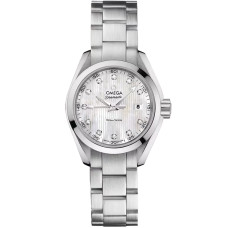 Omega 231.10.30.60.55.001 Seamaster Aqua Terra 150M