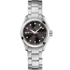Omega 231.10.30.60.56.001 Seamaster Aqua Terra 150M