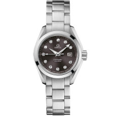 Omega 231.10.30.61.56.001 Seamaster Aqua Terra 150M