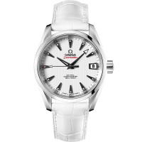 Omega 231.13.39.21.54.001 Seamaster Aqua Terra 150M