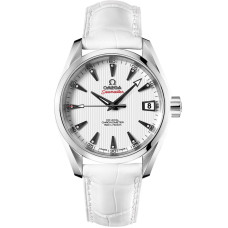 Omega 231.13.39.21.54.001 Seamaster Aqua Terra 150M