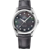 Omega 231.13.39.21.57.001 Seamaster Aqua Terra 150M