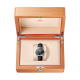 Omega 231.13.43.22.01.002 Seamaster Aqua Terra 150M
