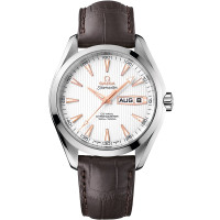Omega 231.13.43.22.02.002 Seamaster Aqua Terra 150M