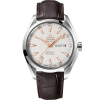 Omega 231.13.43.22.02.003 Seamaster Aqua Terra 150M