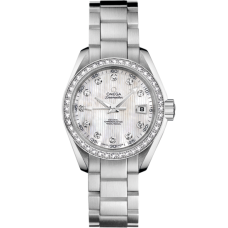 Omega 231.15.30.20.55.001 Seamaster Aqua Terra 150M