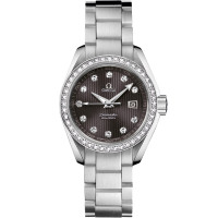 Omega 231.15.30.61.56.001 Seamaster Aqua Terra 150M