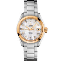Omega 231.20.30.20.55.004 Seamaster Aqua Terra 150M