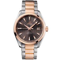 Omega 231.20.42.21.06.001 Seamaster Aqua Terra 150M