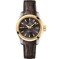 Omega 231.23.30.20.06.002 Seamaster Aqua Terra 150M