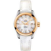 Omega 231.23.30.20.55.002 Seamaster Aqua Terra 150M