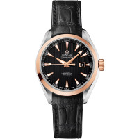 Omega 231.23.34.20.01.002 Seamaster Aqua Terra 150M