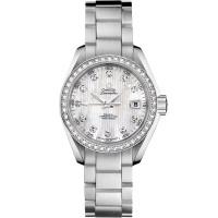 Omega 231.25.30.20.55.001 Seamaster Aqua Terra 150M