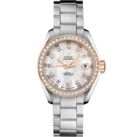 Omega 231.25.30.20.55.003 Seamaster Aqua Terra 150M