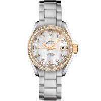 Omega 231.25.30.20.55.004 Seamaster Aqua Terra 150M