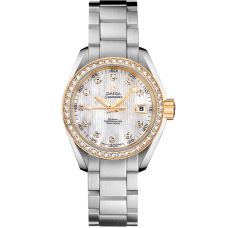 Omega 231.25.30.20.55.004 Seamaster Aqua Terra 150M