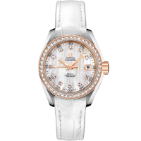 Omega 231.28.30.20.55.001 Seamaster Aqua Terra 150M