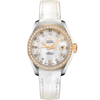 Omega 231.28.30.20.55.002 Seamaster Aqua Terra 150M