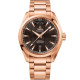 Omega 231.50.42.22.06.001 Seamaster Aqua Terra 150M