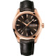 Omega 231.53.43.22.06.001 Seamaster Aqua Terra 150M