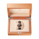 Omega 231.53.43.22.06.003 Seamaster Aqua Terra 150M