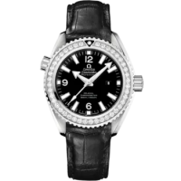 Omega 232.18.38.20.01.001 Seamaster Planet Ocean 600M
