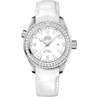 Omega 232.18.38.20.04.001 Seamaster Planet Ocean 600M