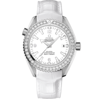 Omega 232.18.42.21.04.001 Seamaster Planet Ocean 600M
