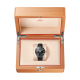 Omega 232.32.44.22.01.001 Seamaster Planet Ocean 600M