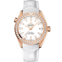 Omega 232.58.42.21.04.001 Seamaster Planet Ocean 600M