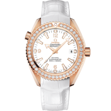 Omega 232.58.42.21.04.001 Seamaster Planet Ocean 600M