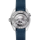 Omega 232.92.46.21.03.001 Seamaster Planet Ocean 600M