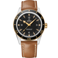 Omega 233.22.41.21.01.001 Seamaster 300