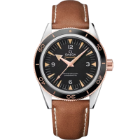 Omega 233.22.41.21.01.002 Seamaster 300