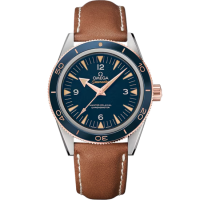 Omega 233.62.41.21.03.001 Seamaster 300