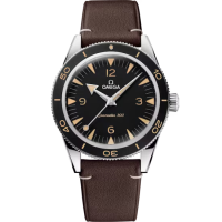 Omega 234.32.41.21.01.001 Seamaster 300
