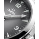 Omega 235.10.38.20.06.001 Seamaster Railmaster
