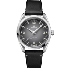 Omega 235.12.38.20.06.001 Seamaster Railmaster