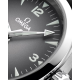 Omega 235.12.38.20.06.001 Seamaster Railmaster