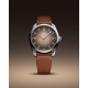 Omega 235.12.38.20.13.001 Seamaster Railmaster